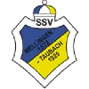 SG SSV Blau-Gelb Mellingen